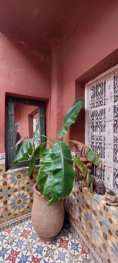 Riad Kainos Marraquexe Exterior foto